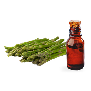 Asparagus oil