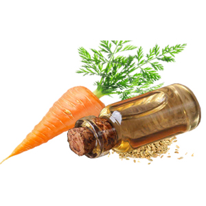 Carrot seed oil