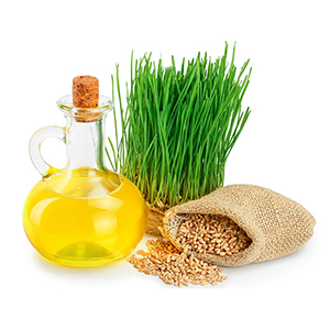 Wheat Germ Oil