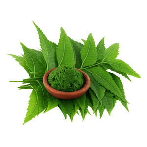 Neem