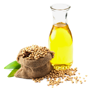 Soya Oil